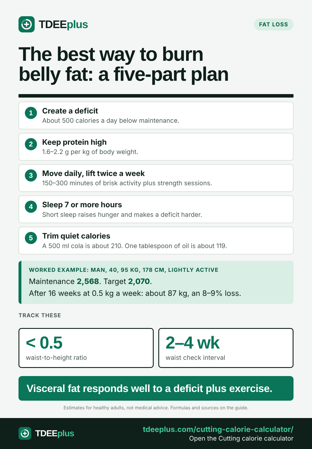 Infographic: The best way to burn belly fat: a five-part plan. Visceral fat responds well to a deficit plus exercise.