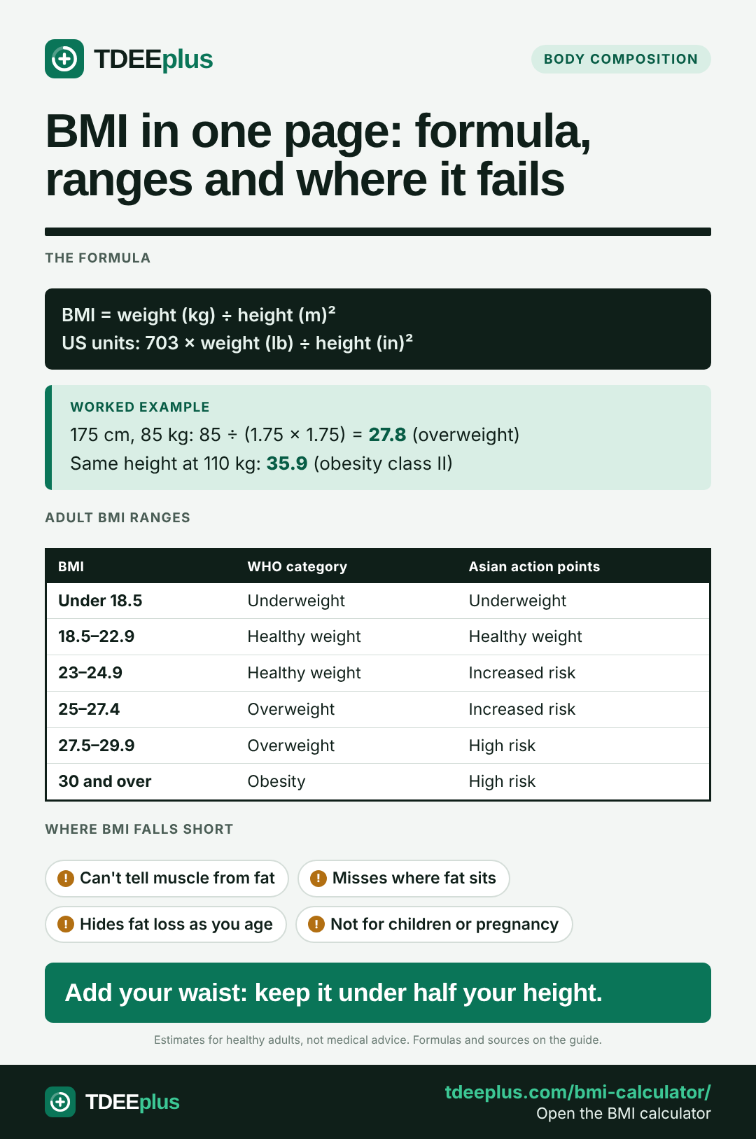 Infographic: BMI in one page: formula, ranges and where it fails. Add your waist: keep it under half your height.