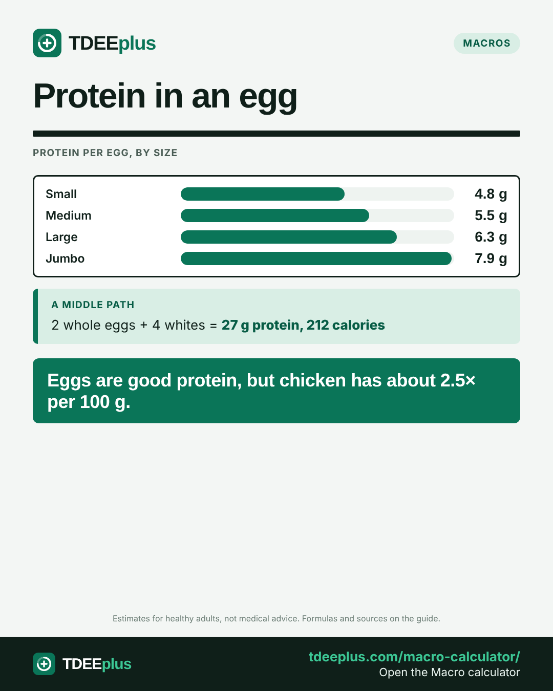 Infographic: Protein in an egg. Eggs are good protein, but chicken has about 2.5× per 100 g.