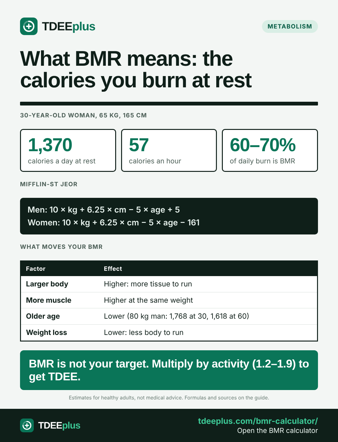 Infographic: What BMR means: the calories you burn at rest. BMR is not your target. Multiply by activity (1.2–1.9) to get TDEE.
